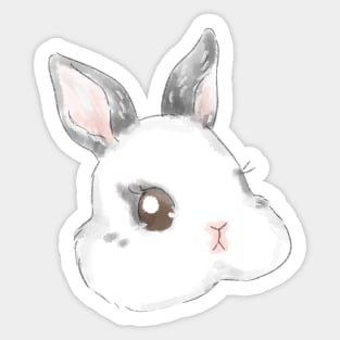 rabbit Netherland Dwarf Hotot Head Sticker